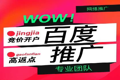 百度推广排名优化策略案例分析